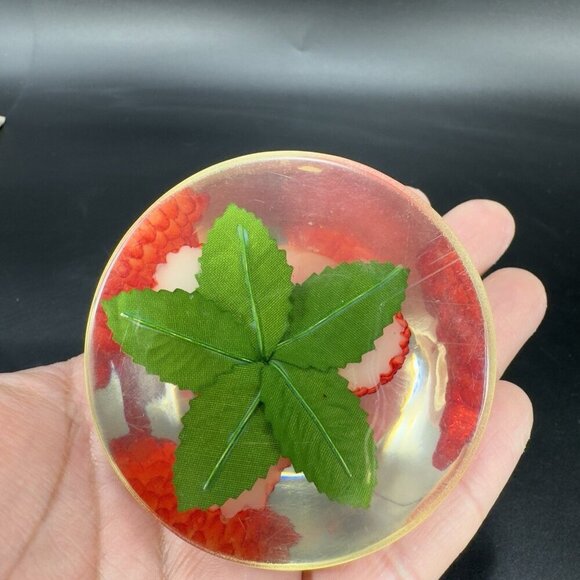 Dome Shape Acrylic Resin Lucite Round Paperweight Red Raspberry Leaves Vintage - Picture 6 of 13